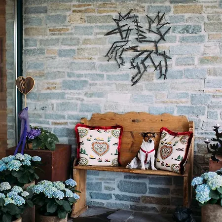 酒店 Alpin Sacher 蒂罗尔-泽费尔德